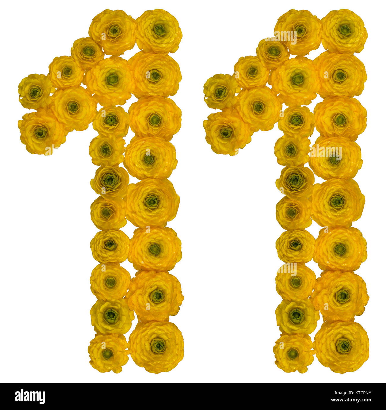 Numero arabo 11, undici, dal giallo dei fiori di ranuncolo, isolato su sfondo bianco Foto Stock