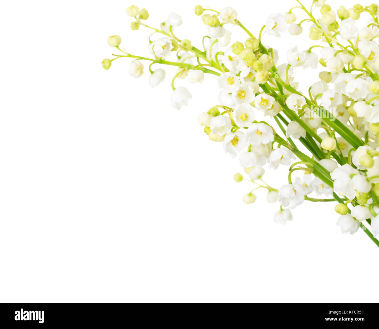 Messa a fuoco selettiva. Foto Stock