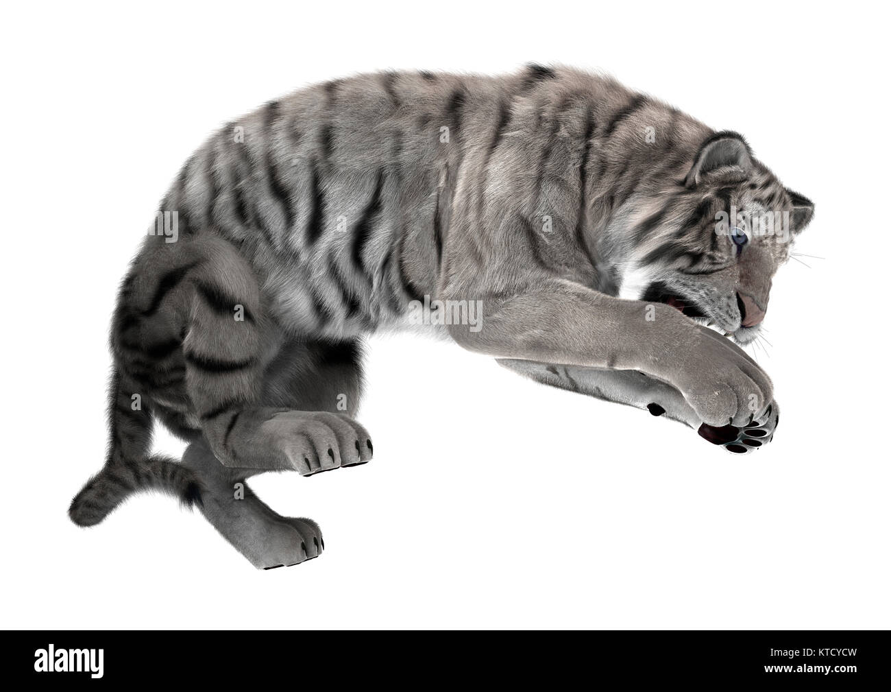 3D Rendering Tigre Bianca su bianco Foto Stock