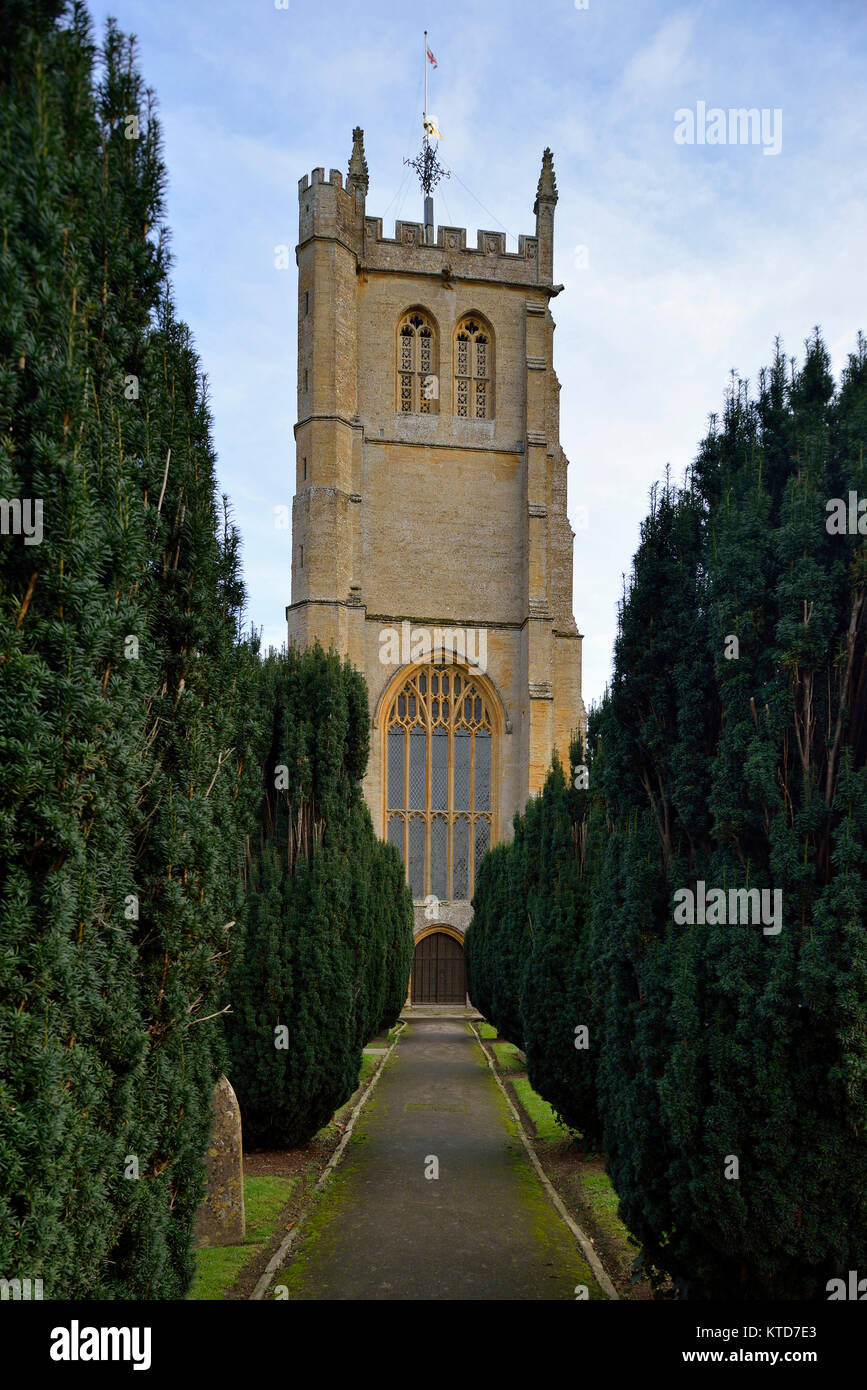 Yew alberata percorso alla Chiesa di Tutti i Santi, Martock, South Somerset Foto Stock
