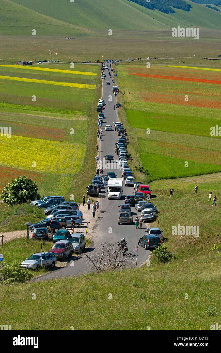 Un sacco di auto e persone a Castelluccio di Norcia durante la fioritura del Pian Grande, Monti Sibillini National Park, Umbria, Italia Foto Stock