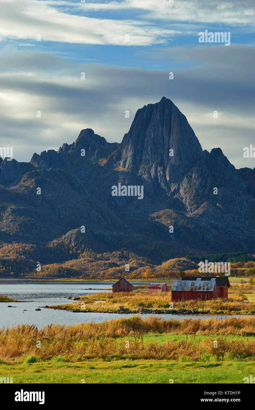 Il Reka su Langoya, Sortland, Nordland, Norvegia Foto Stock