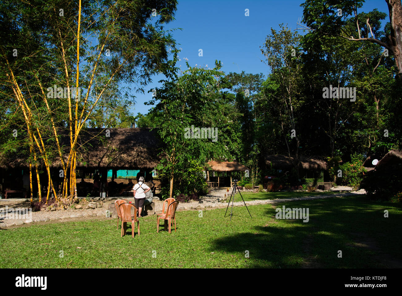 ASIA, India, Assam, Sonitpur distretto, Assam Eco Camp Foto Stock