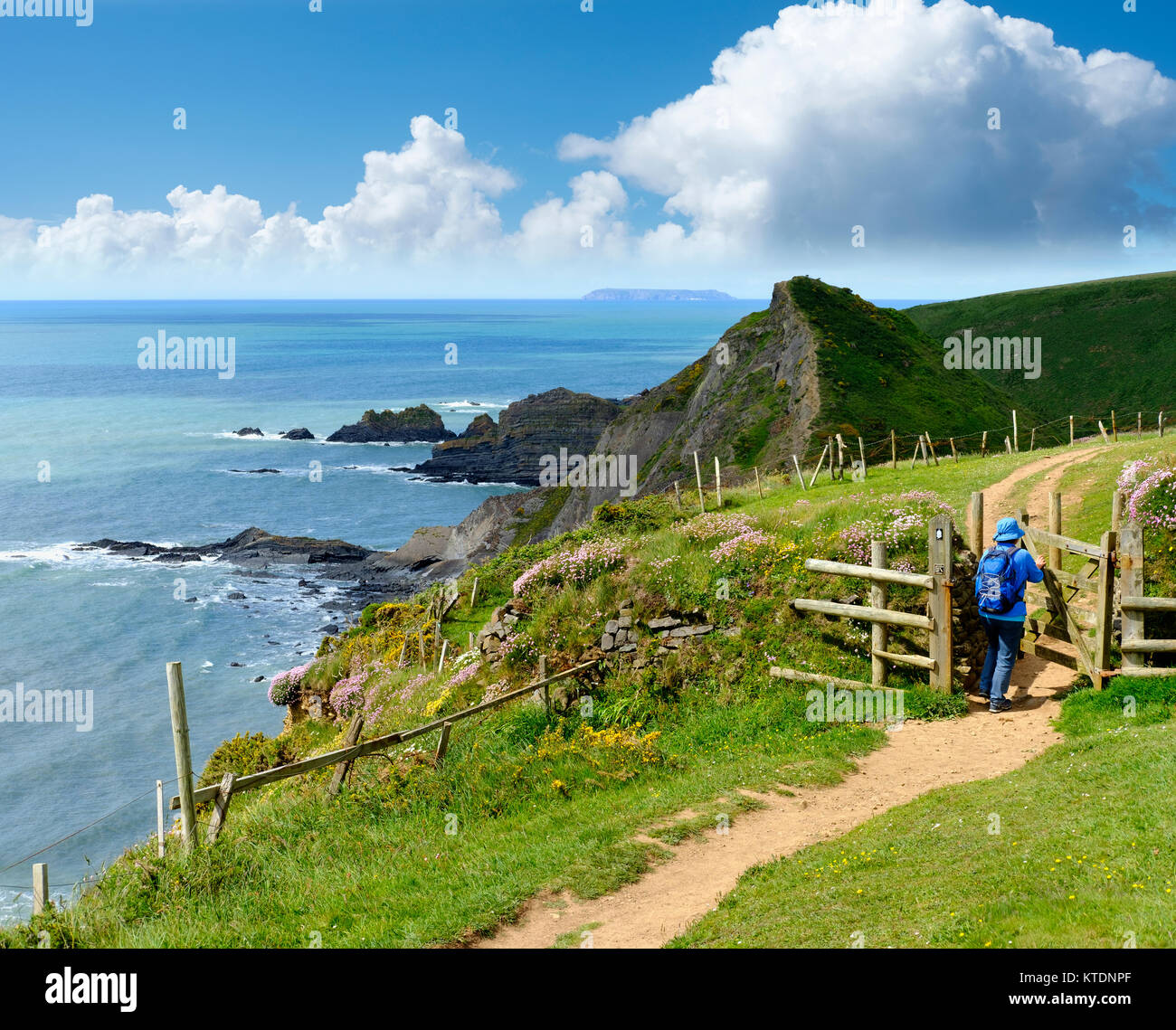 Un Küstenweg Felsküste, Hartland Quay, Hartland, Devon, Inghilterra, Großbritannien Foto Stock