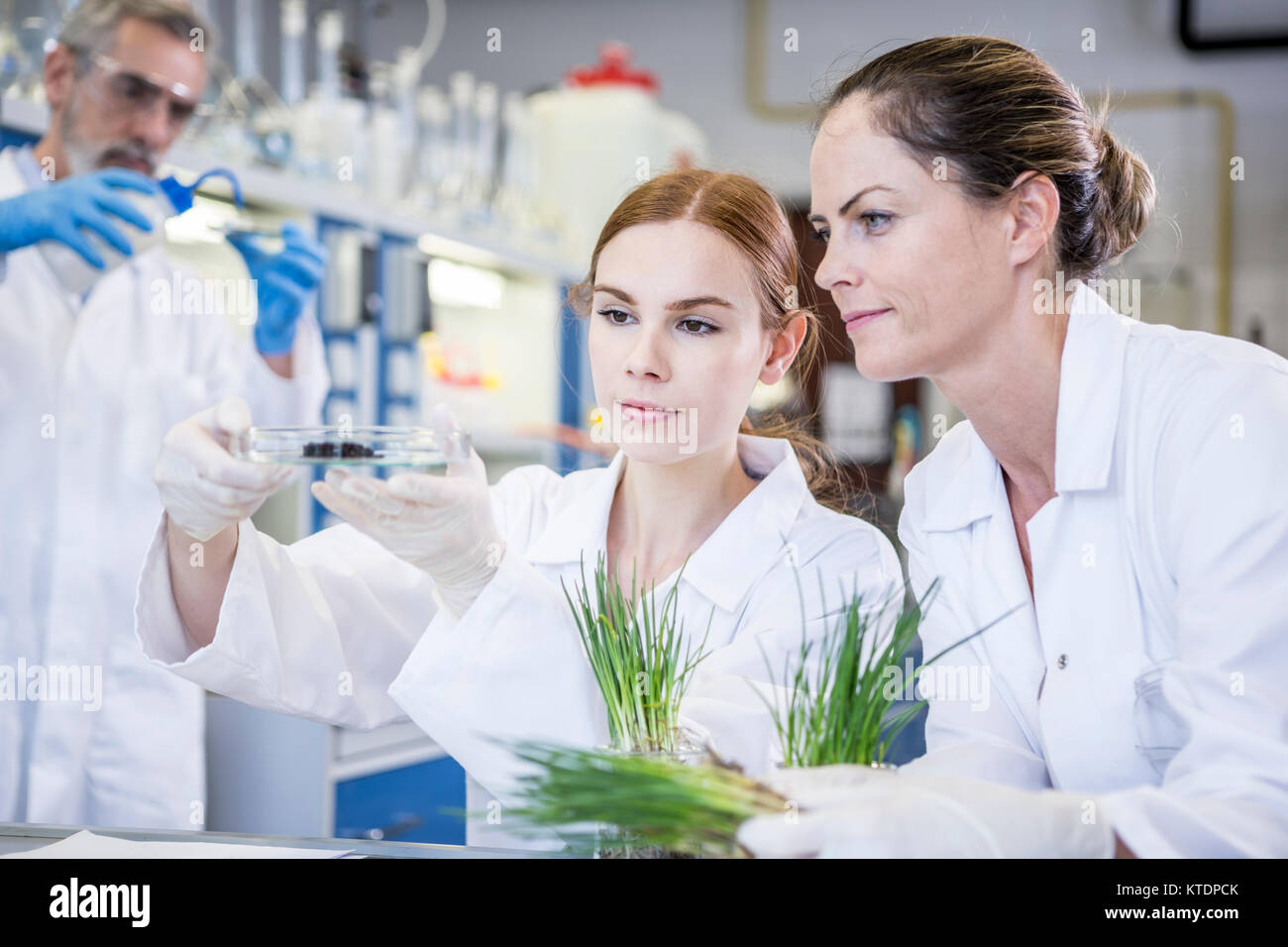 Gli scienziati in laboratorio esaminare le piante e campione di suolo Foto Stock