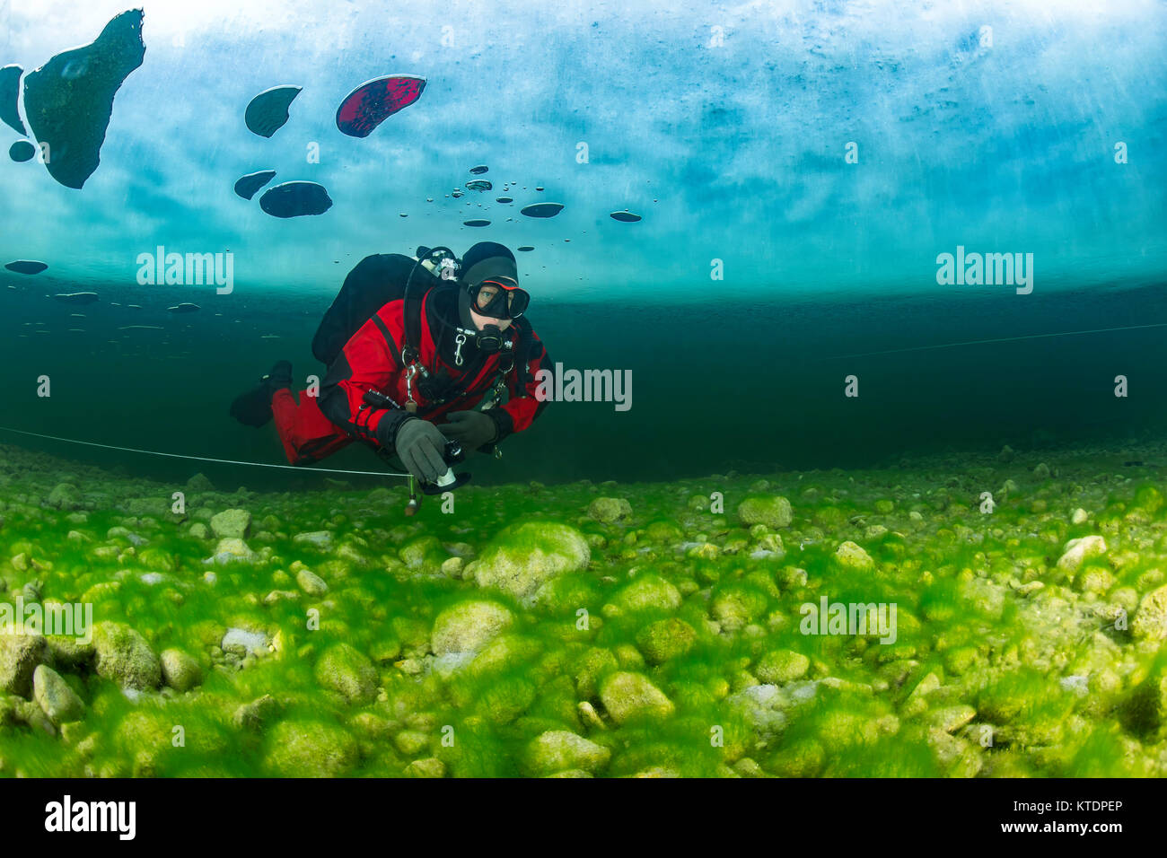 L'Austria, la Stiria, Lago Grundlsee, immersioni sotto il ghiaccio floe Foto Stock