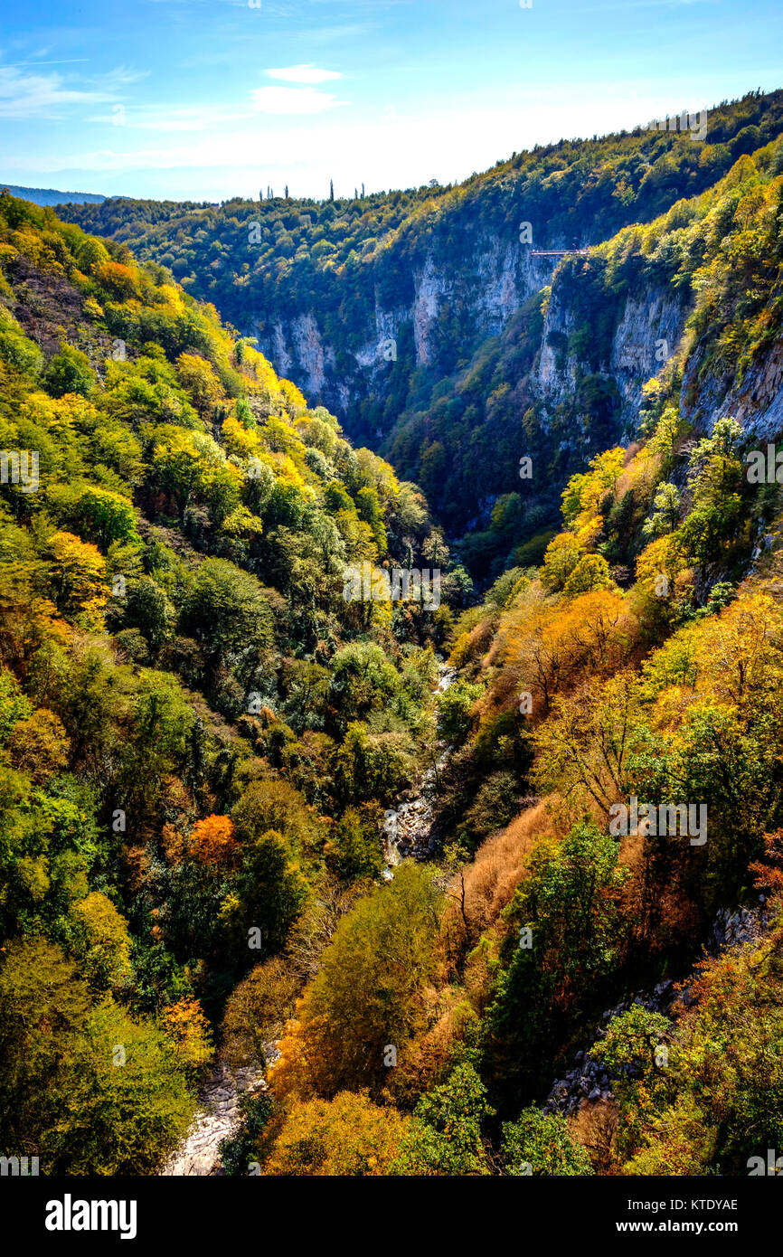 Vista sul fiume e la foresta di Okatse Canyon, Georgia Foto Stock