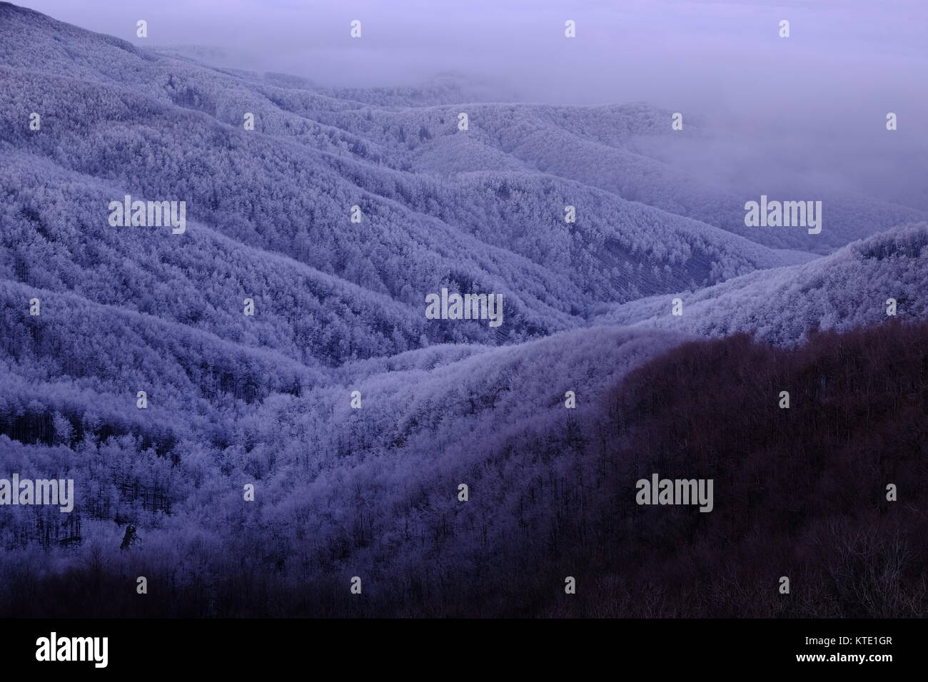 Congelati coperta di foresta montagne nelle parti settentrionali di Ungheria Foto Stock