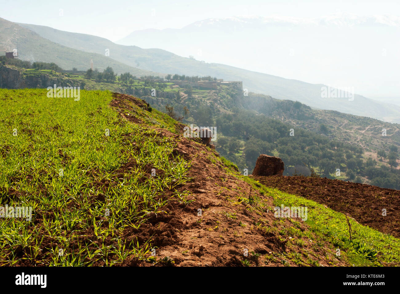 Medio Atlante paesaggio di montagna in primavera al di fuori di Marrakech, Marocco Foto Stock