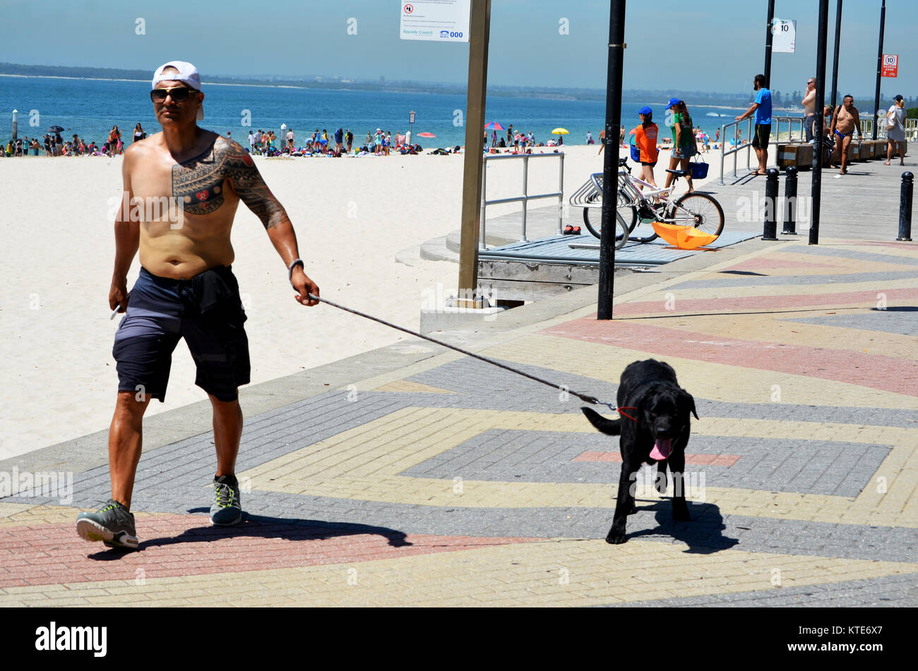 Uomo che cammina il suo cane dalla spiaggia Foto Stock
