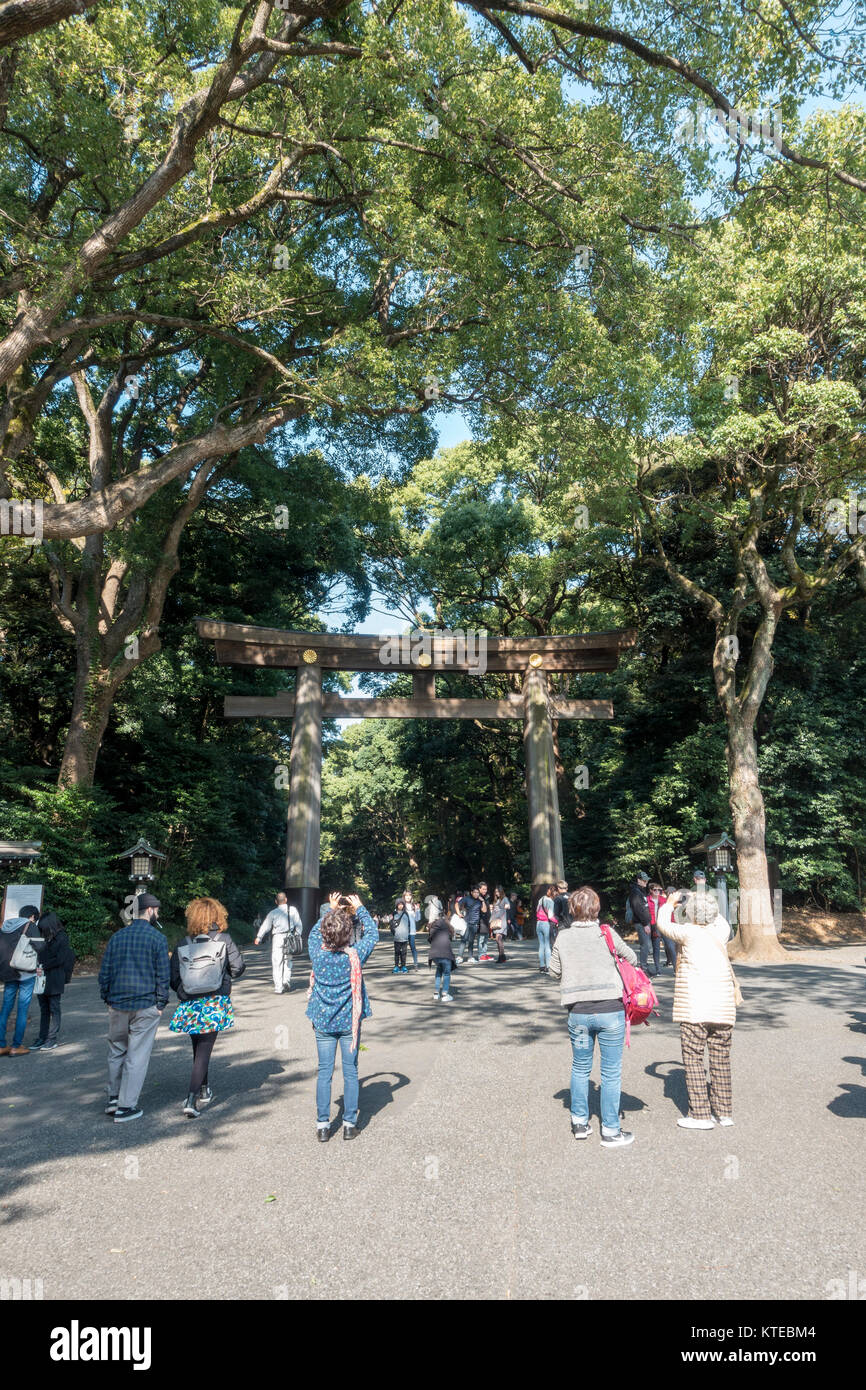 Yoyogi Park a Tokyo, in Giappone in autunno Foto Stock