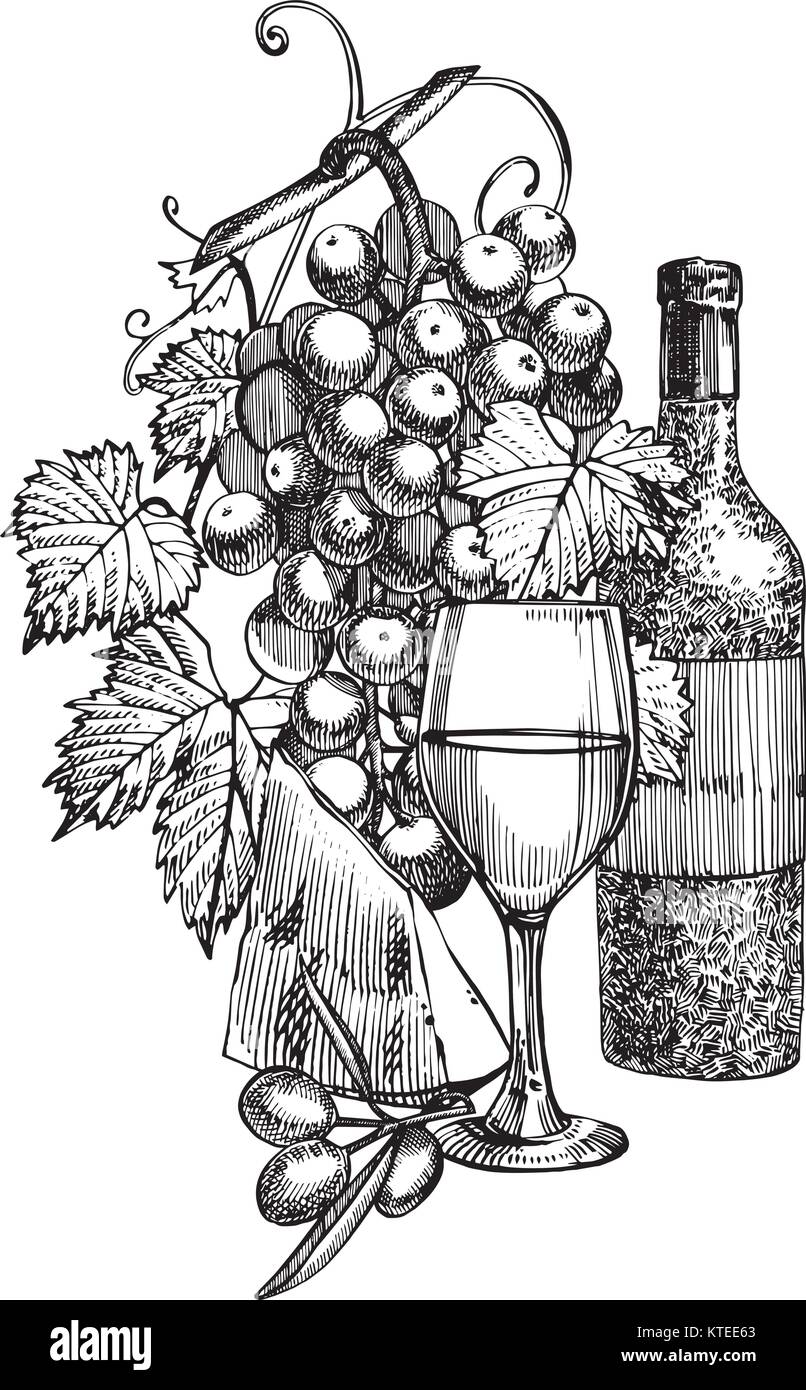 Composizione di una bottiglia di vino, due bicchieri, parmigiano, uva e foglie con olive. Disegnato a mano stile di incisione illustrazioni. Banner di vino annata dello sfondo. Illustrazione Vettoriale