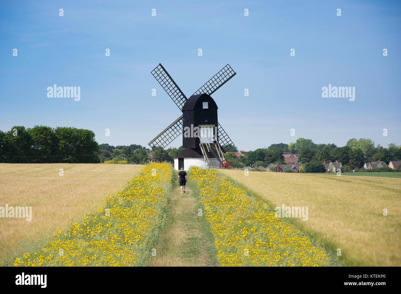 Xvii secolo il Pitstone Windmill Pitstone, Buckinghamshire, Inghilterra, Regno Unito Foto Stock