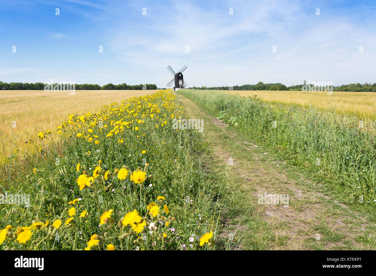 Xvii secolo il Pitstone Windmill Pitstone, Buckinghamshire, Inghilterra, Regno Unito Foto Stock