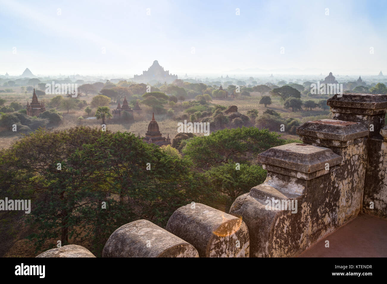 Molte pagode e templi di misty pianura di Bagan, Myanmar (Birmania) in mattinata, visto leggermente dall'alto dalla Shwesandaw Tempio. Foto Stock