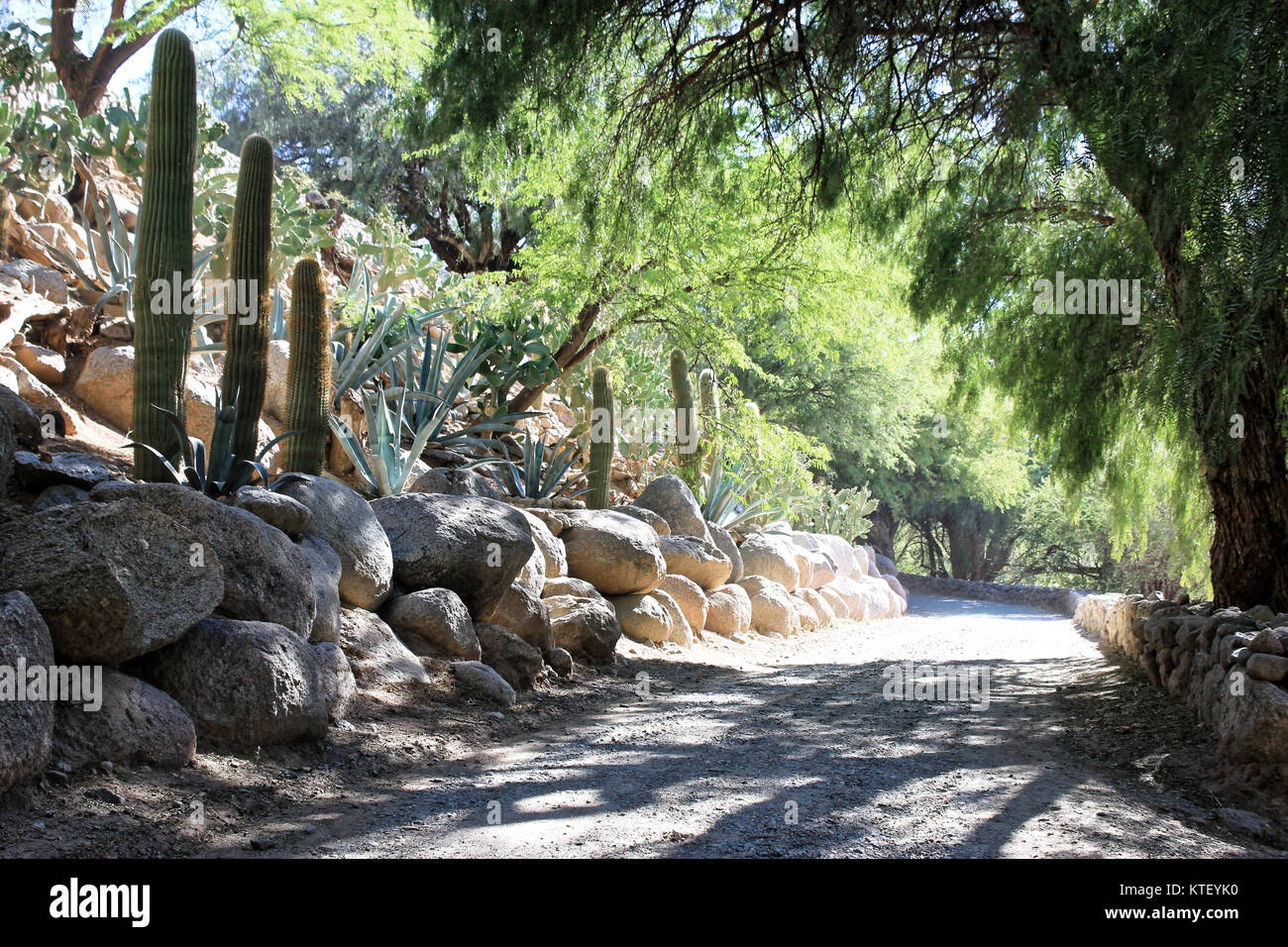 Ingresso alla Estancia Colomé, Salta, Argentina. Foto Stock