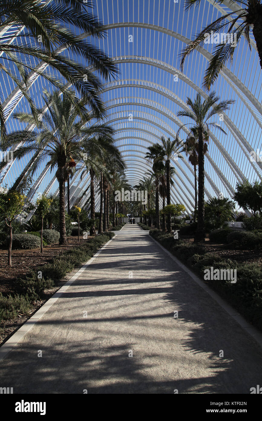 L'Umbracle (2001) a Ciudad de las Artes y las Ciencias.La Città delle Arti e delle Scienze di Valencia Spagna.da Santiago Calatrava e Felix Candel Foto Stock
