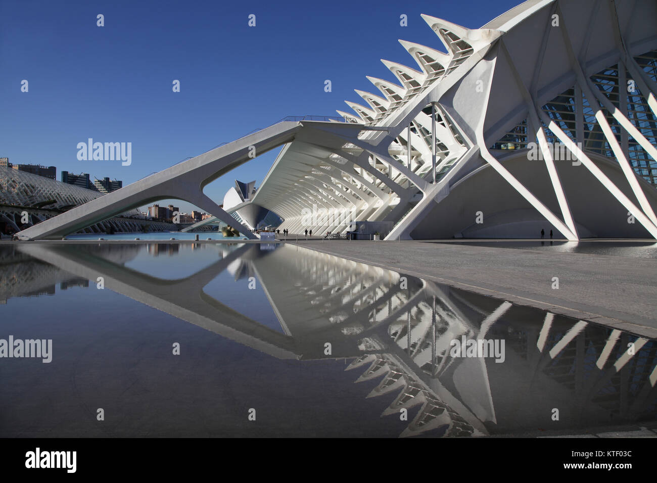 El Museu de les Ciències Príncipe Felipe (2000) Ciudad de las Artes y las Ciencias.La Città delle Arti e delle Scienze di Valencia in Spagna. Foto Stock