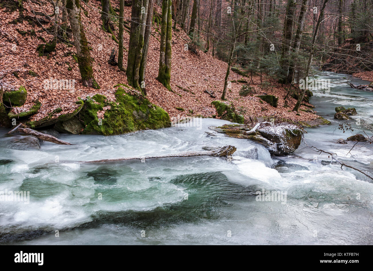 Frozen River in foresta con assenza di neve. undefined condizione della natura Foto Stock