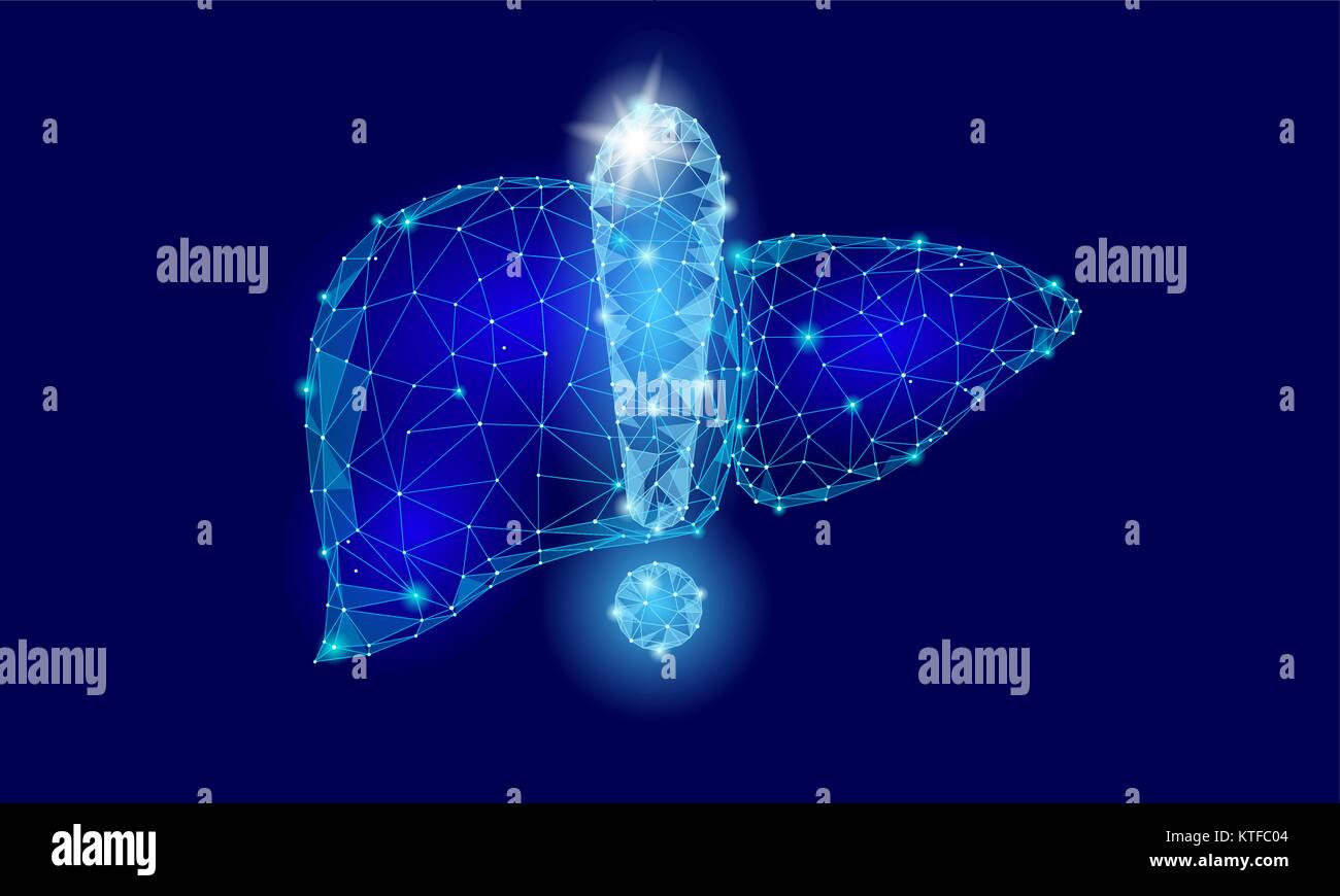 Attenzione avviso sanitario punto esclamativo fegato basso poli. Avviso medicina pericoloso rischio di malattia cirrosi proteggere la sicurezza del concetto. Triangolo blu linea punto poligono illustrazione vettoriale Illustrazione Vettoriale