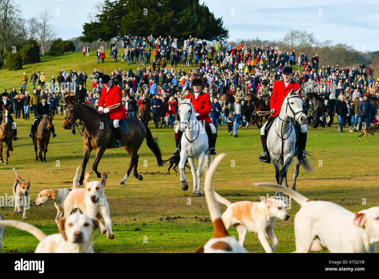 Lyndhurst, Hampshire, Regno Unito. Il 26 dicembre 2017. New Forest Hunt si incontra per loro Boxing Day caccia al Boltons banco a Lyndhurst in Hampshire. La caccia con i segugi. Credito Foto: Graham Hunt/Alamy Live News Foto Stock