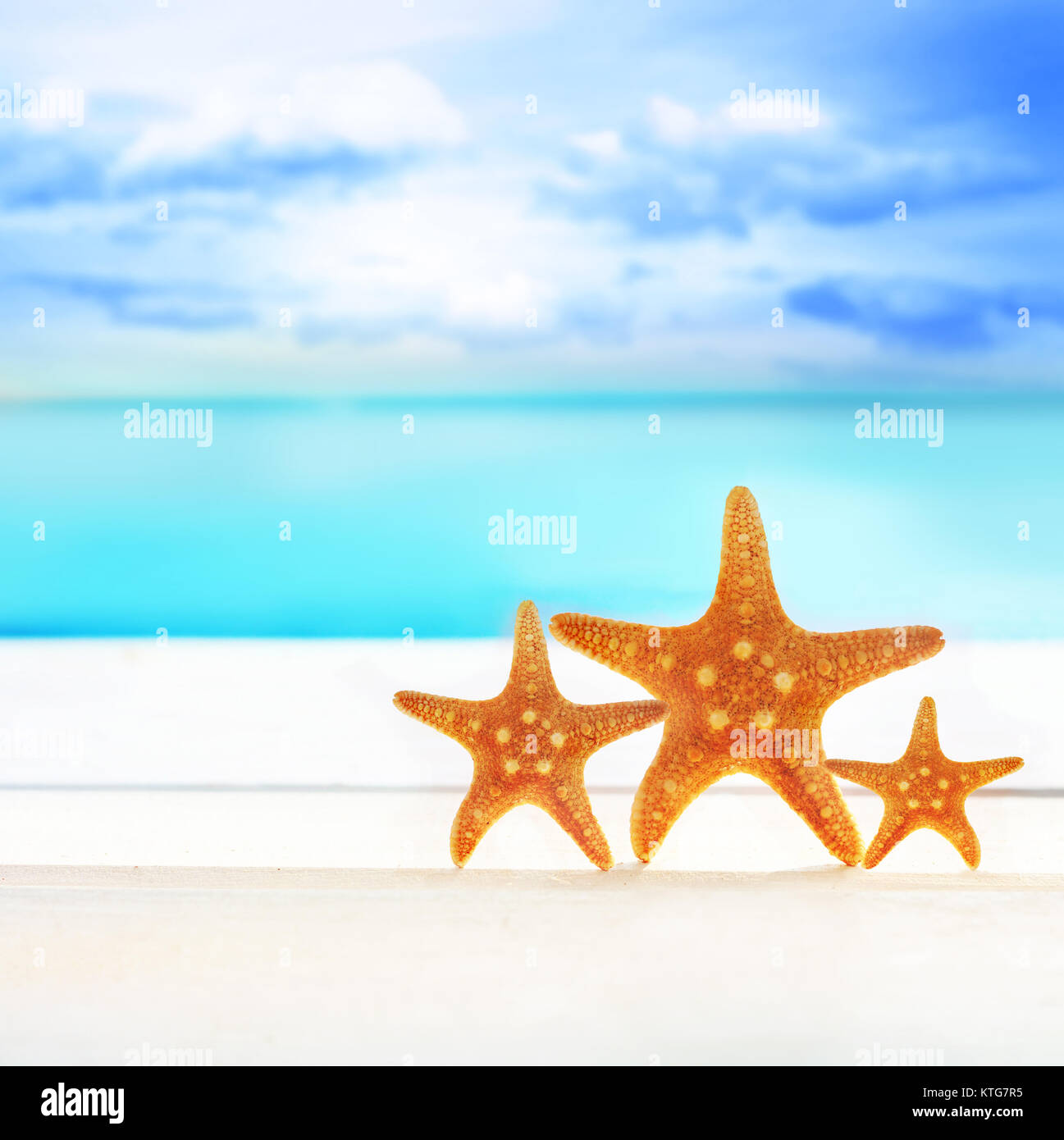 Stella di mare sulla spiaggia di sabbia a Sfondo oceano Foto Stock