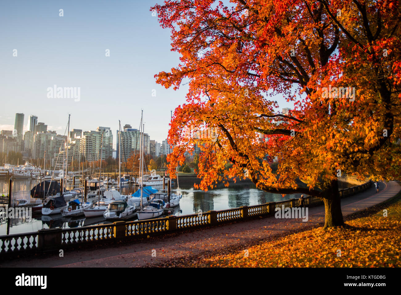 Rientrano in Vancouver Stanley Park Foto Stock