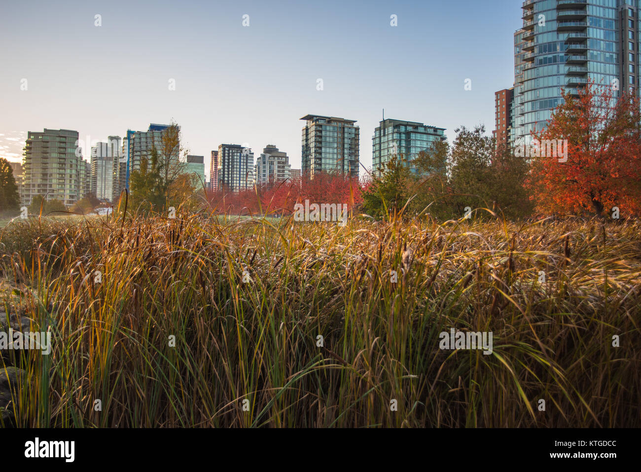 Rientrano in Vancouver Stanley Park Foto Stock