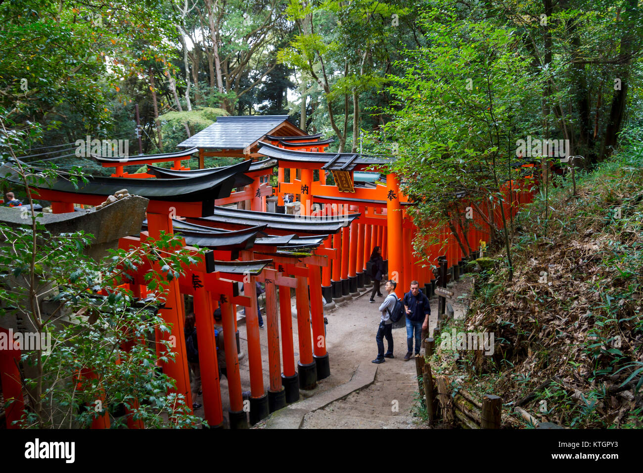 I turisti in visita a Fushimi Inari, un percorso fino alla montagna con molti in legno toriis rosso a Kyoto, Giappone Foto Stock