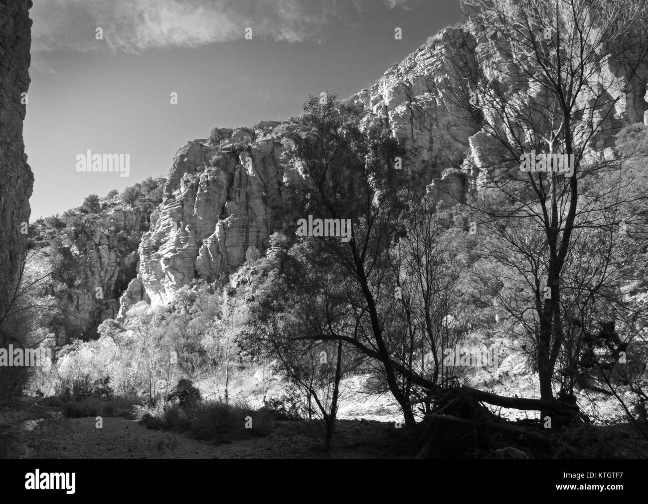 L'AZ Sycamore Canyon, identificato con il numero di nave 10468919774, catturato nella sua posizione marittima, probabilmente impegnato nel trasporto di merci o passeggeri. Foto Stock