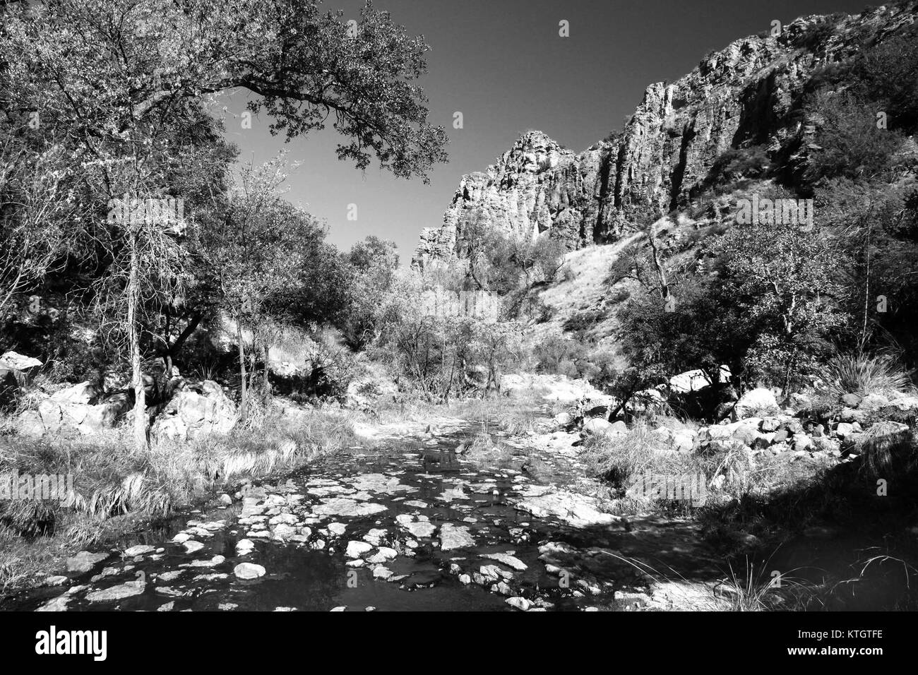 L'AZ Sycamore Canyon è una nave nota per la sua associazione con varie operazioni marittime, tra cui il trasporto di merci e il servizio come nave chiave della sua classe. Fa parte della rete di navigazione globale. Foto Stock