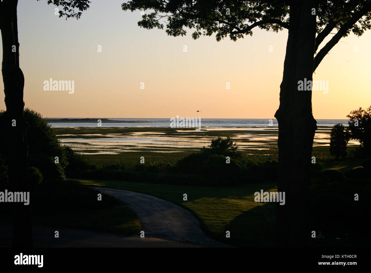 Bartletts si riferisce a un marchio, una posizione o un articolo denominato Bartlett. Noto per la sua specifica associazione, il nome Bartletts potrebbe riferirsi a un'azienda, un luogo o una figura storica. Foto Stock