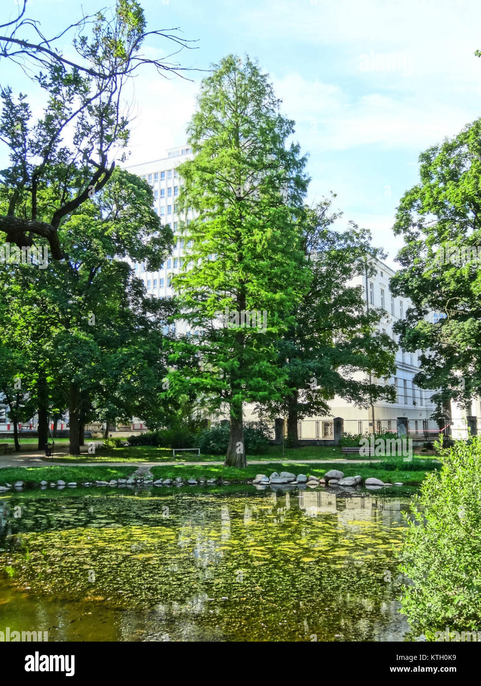 L'immagine mostra un parco a Kazimierz Wielki, Polonia, catturato nel 2013. Il parco è una popolare area ricreativa, conosciuta per la sua bellezza naturale e l'uso in comunità. Riflette l'impegno della città nei confronti degli spazi verdi pubblici. Foto Stock