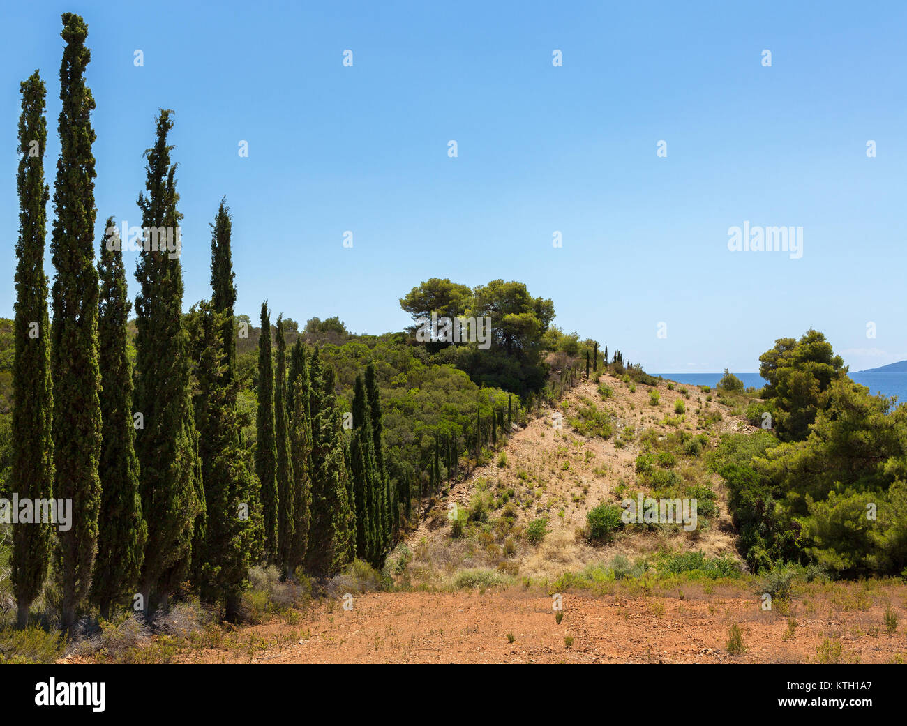 Vicolo di esili cipressi sulla riva del mare Egeo. La penisola di Sithonia. Foto Stock