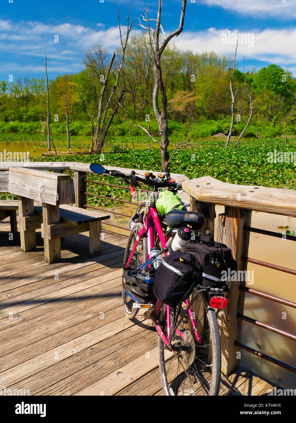 Alzaia Trail Boardwallk, Beaver Marsh, Cuyahoga Valley National Park, Brecksville, Ohio, Stati Uniti d'America Foto Stock