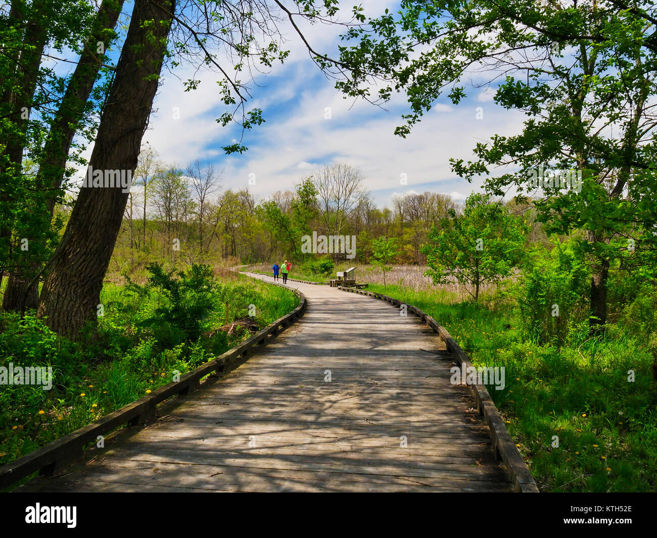 Bacino tozza, Ohio e Canale Erie Alzaia, Cuyahoga Valley National Park, Brecksville, Ohio, Stati Uniti d'America Foto Stock