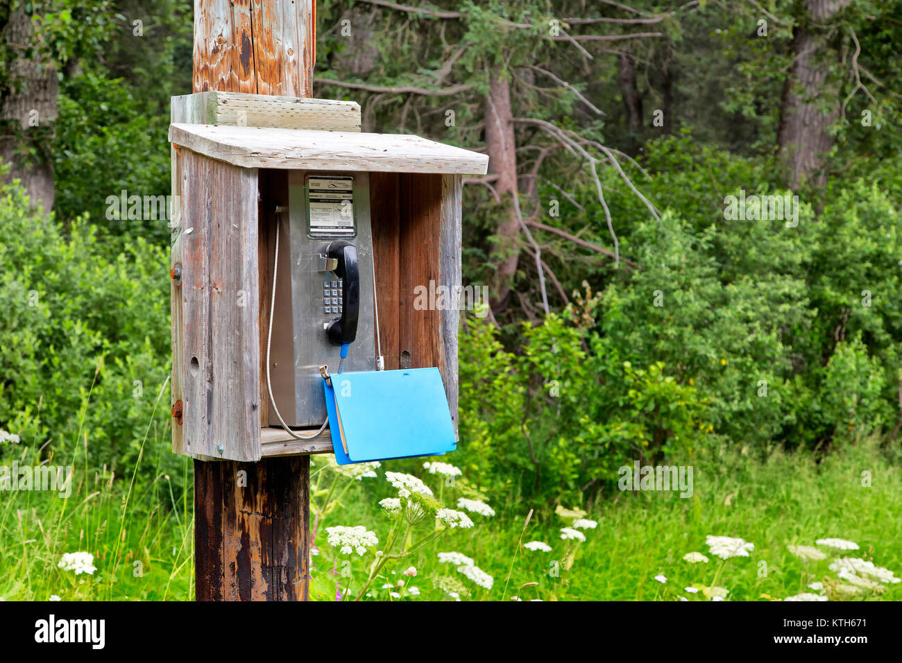 Telefoni pubblici a pagamento situato sulla Richardson Highway. Foto Stock