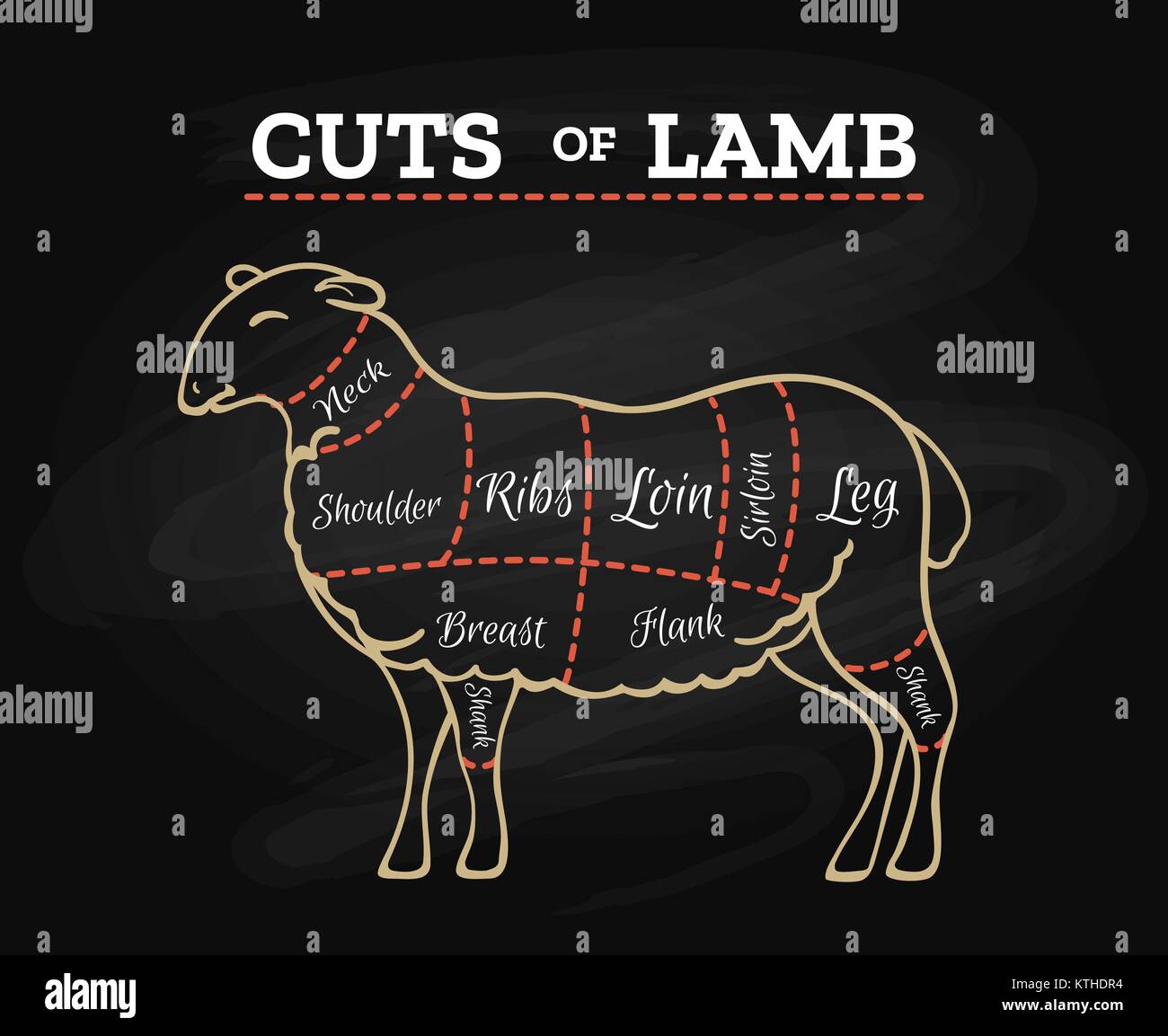 Tagli di agnello grafico. Le pecore o agnelli bistecca di carne del macellaio chalkboard regime in retrò disegnati a mano stile illustrazione vettoriale Illustrazione Vettoriale