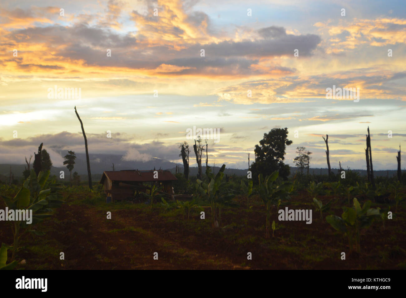 Bella fattoria in Cambogia, Asia con le nuvole colorate nel cielo Foto Stock