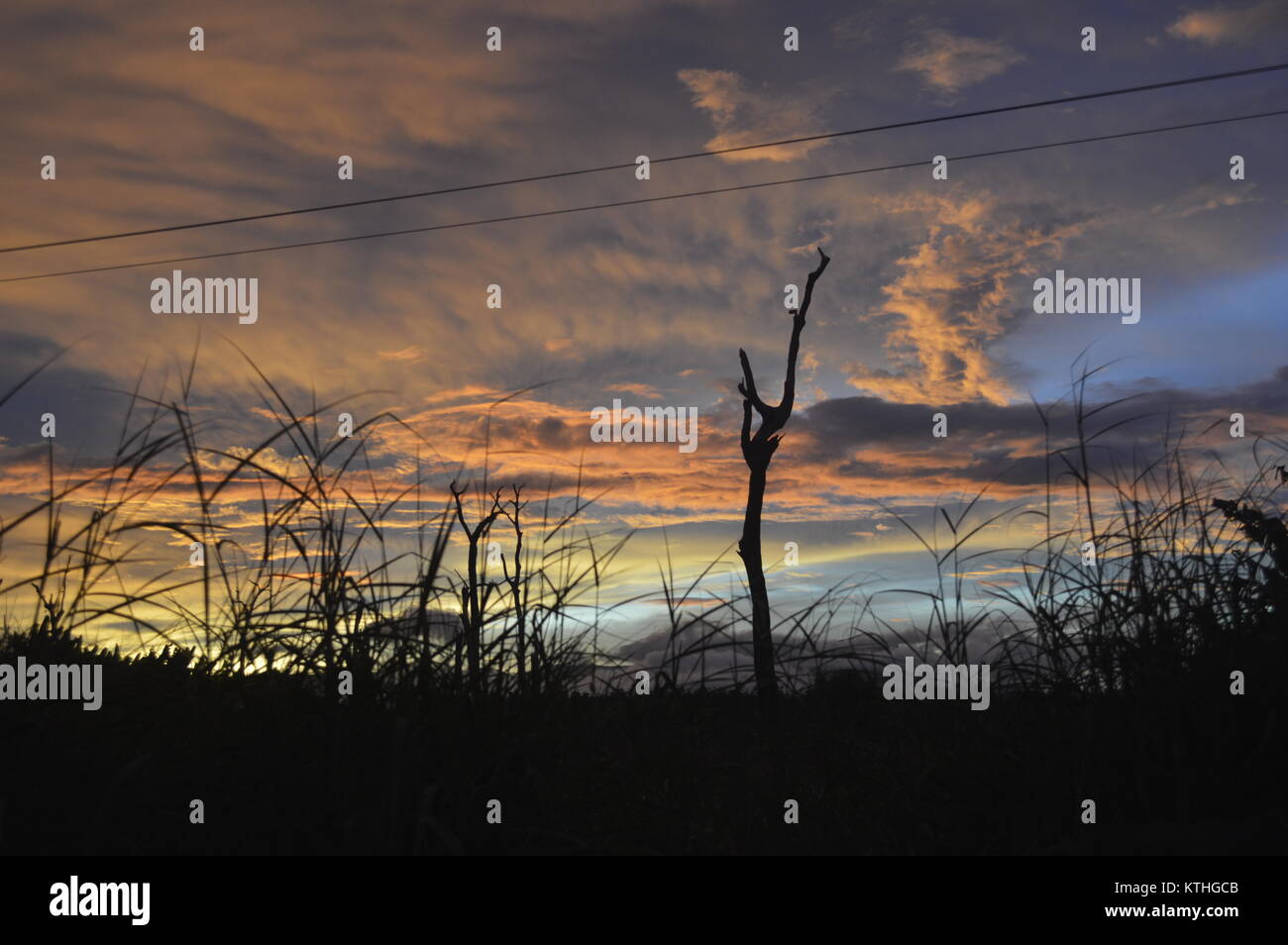 Bel cielo naturale con il tramonto e le nuvole rosso arancio incandescente in Cambogia Foto Stock