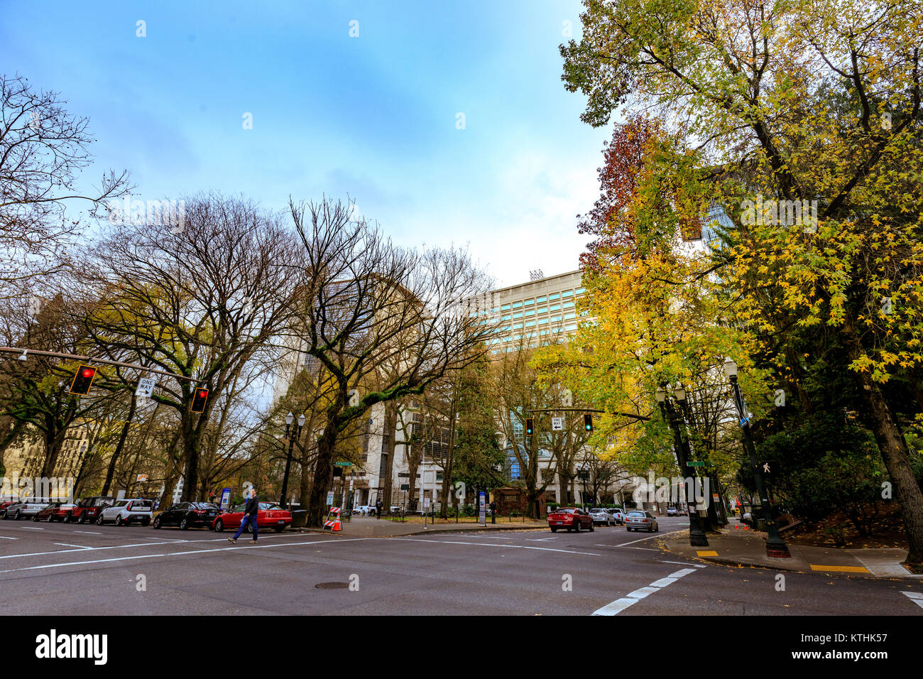 Portland, Stati Uniti - 19 dic 2017 : Chapman Square, frondosi blocco quadrato una volta destinato alle donne solo, ora frequentati da tutti sotto tutti-ginkgo femmina Foto Stock