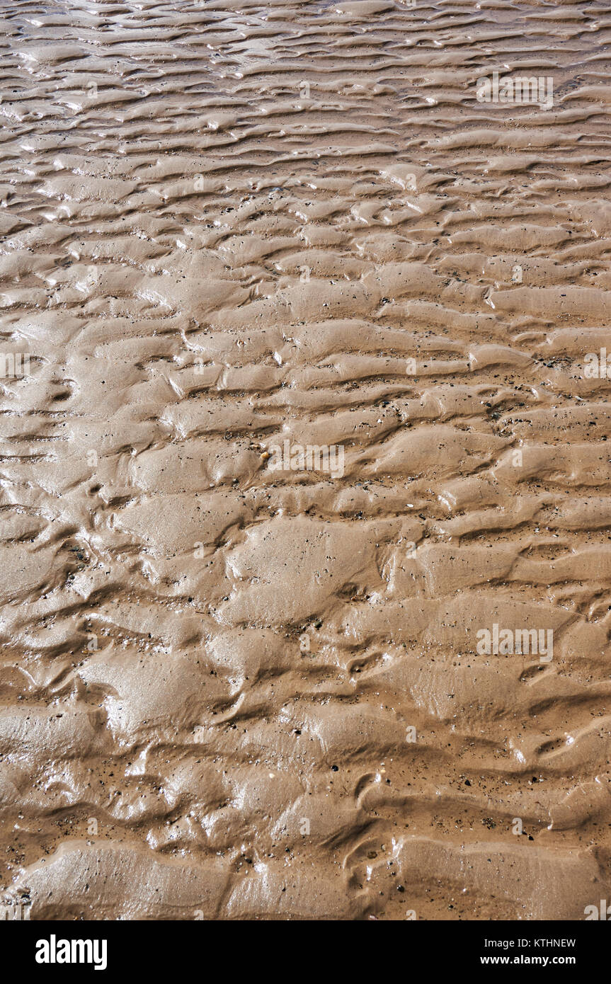 Superficie bagnata di una spiaggia di sabbia con la bassa marea. Foto Stock