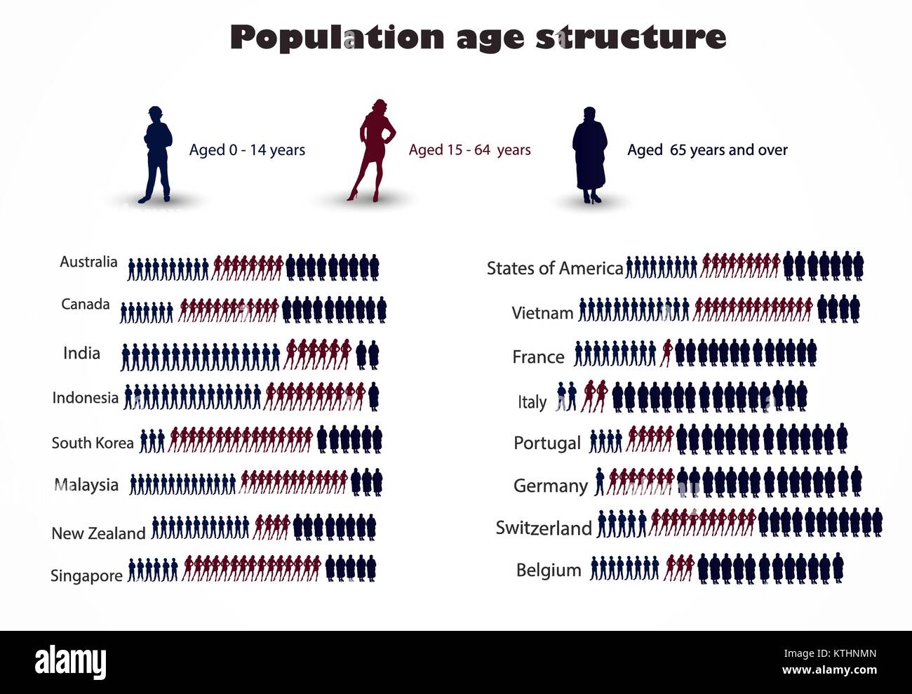 Una infografica circa la struttura della popolazione per fasce di età  Immagine e Vettoriale - Alamy