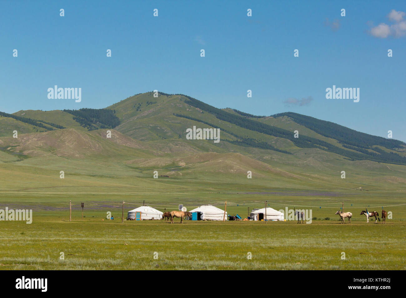 Mongolo tipico chiamato tnets ger o yurt (dal russo) nella steppa. Mongolia settentrionale clos a Bulgan città. Foto Stock