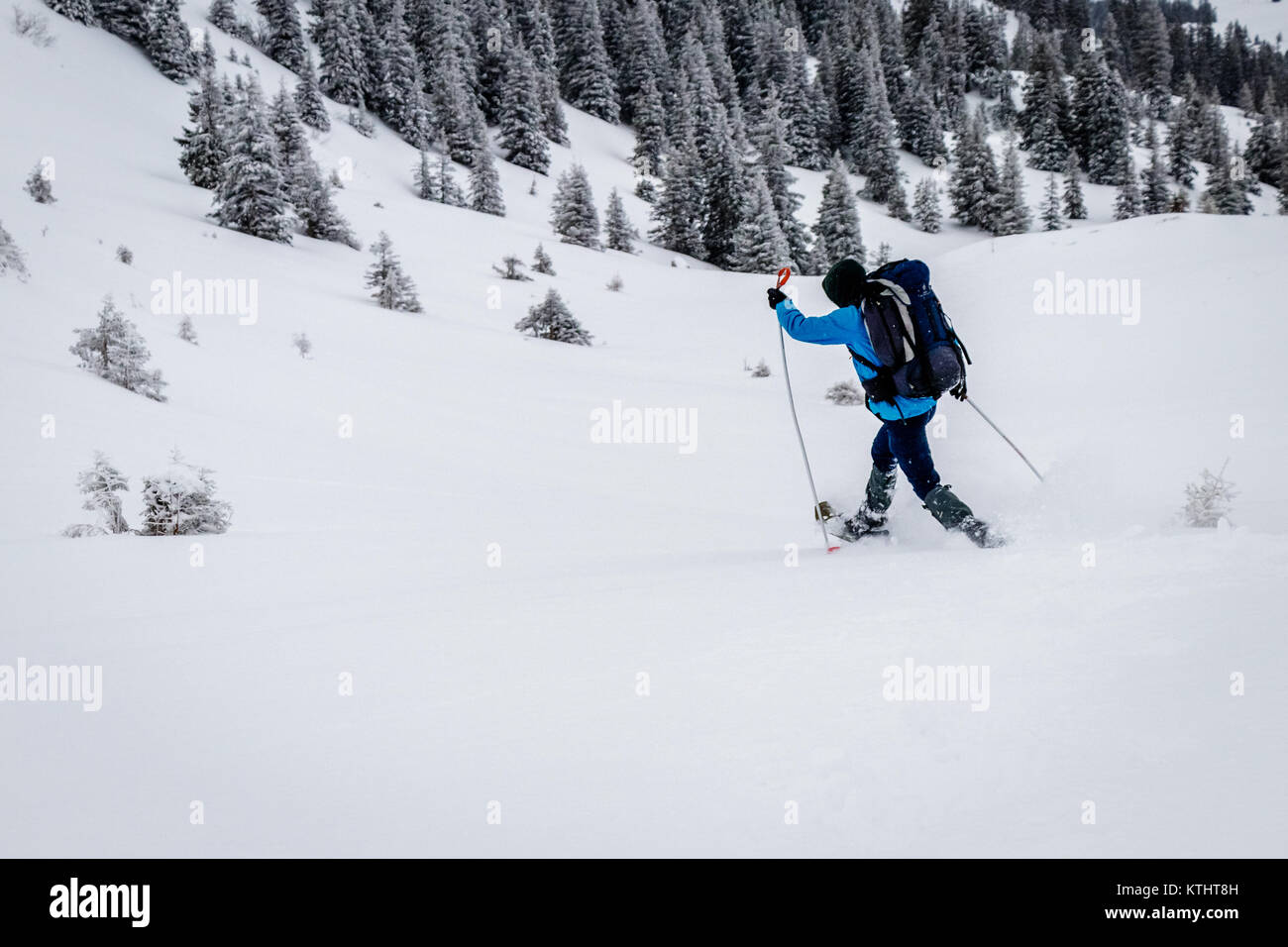 Calzature per camminare store sulla neve