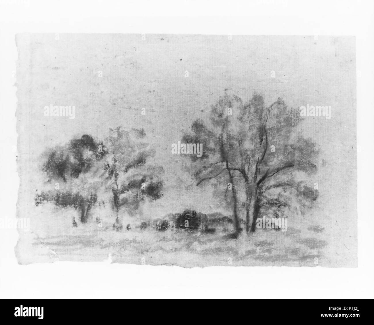 Questa fotografia cattura i colori vivaci degli alberi autunnali. L'immagine mostra la bellezza delle stagioni che cambiano, sottolineando le calde sfumature del fogliame autunnale e il passaggio dall'estate all'inverno. Foto Stock