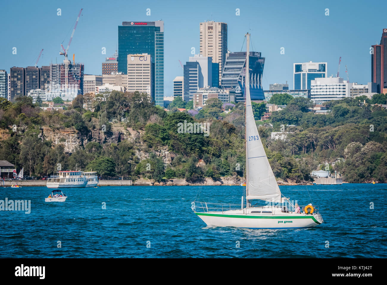 In barca a vela sul porto di Sydney Foto Stock