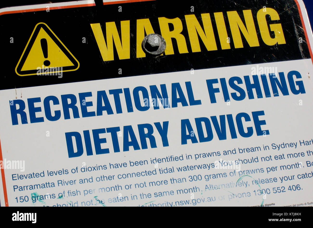 Una fotografia che cattura un momento iconico dall'Australia nel luglio 2008, che riflette un evento culturale o storico significativo in quel periodo. Foto Stock