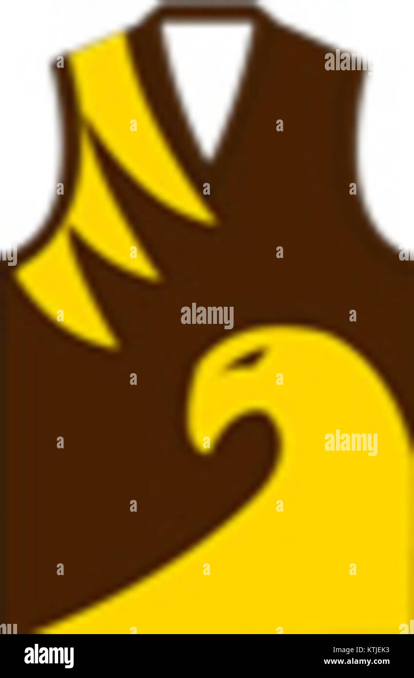 I Gol Gol Hawks, una squadra sportiva nota per i loro risultati nel football australiano, che mostra la loro eredità e le loro prestazioni. Foto Stock