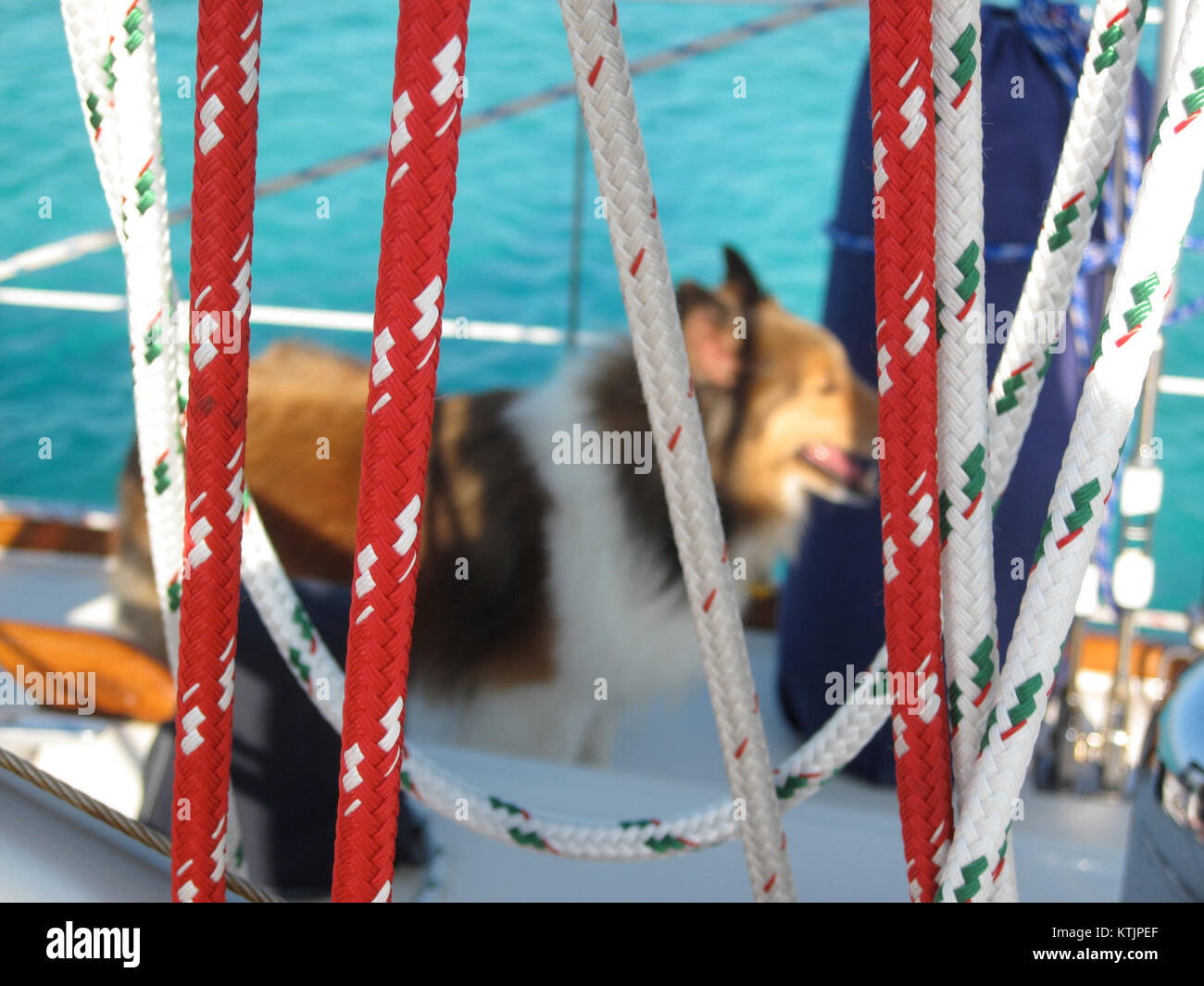 Dietro le corde si riferisce a un evento, un progetto o un'esperienza che si svolge dietro le quinte o all'esterno del pubblico, in genere che comporta un accesso limitato o aree esclusive. Foto Stock